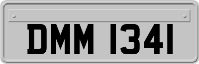 DMM1341