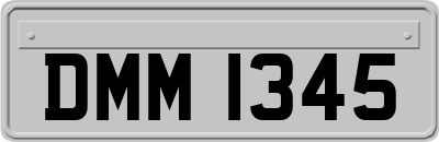 DMM1345