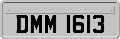DMM1613