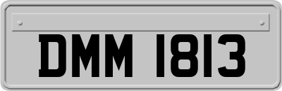 DMM1813