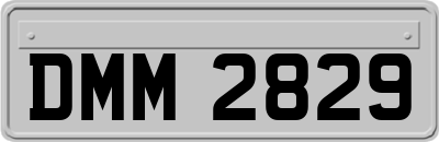 DMM2829