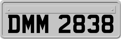 DMM2838