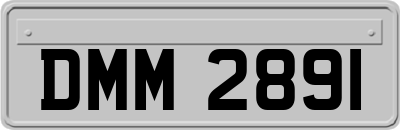 DMM2891