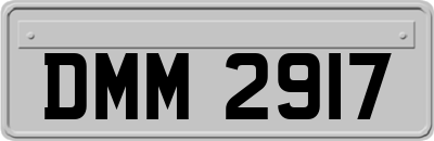 DMM2917