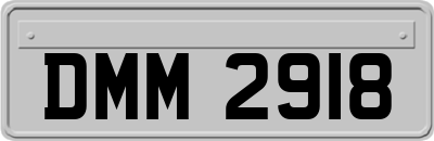 DMM2918