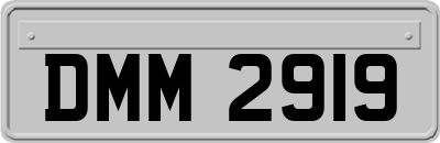 DMM2919