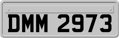 DMM2973