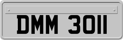 DMM3011