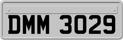 DMM3029