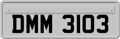 DMM3103