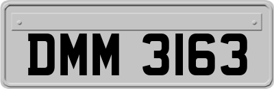 DMM3163