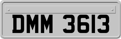 DMM3613