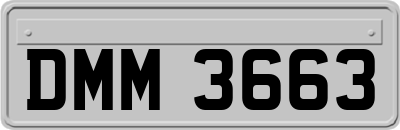 DMM3663