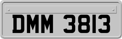 DMM3813