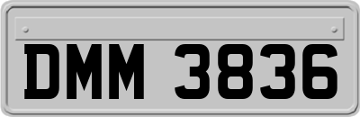DMM3836