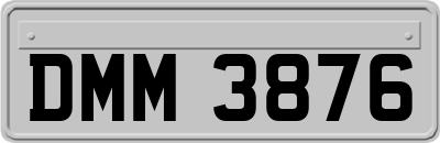 DMM3876