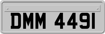 DMM4491