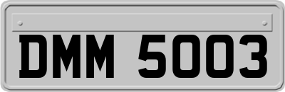DMM5003