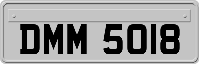 DMM5018
