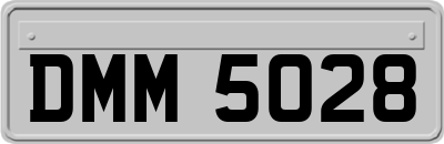 DMM5028