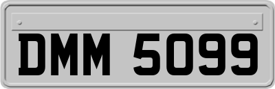 DMM5099