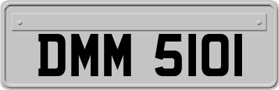 DMM5101
