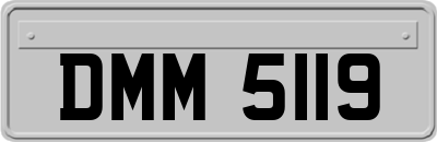 DMM5119