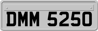 DMM5250