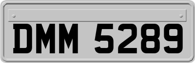 DMM5289