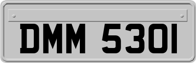 DMM5301