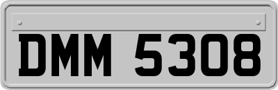 DMM5308