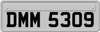 DMM5309