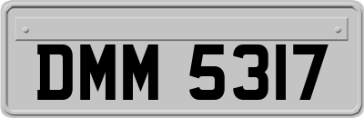 DMM5317
