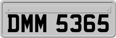DMM5365