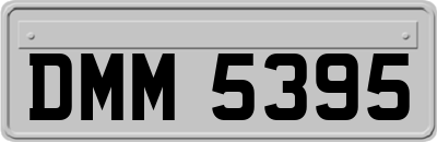 DMM5395