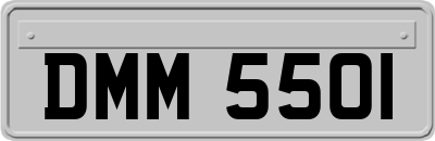 DMM5501