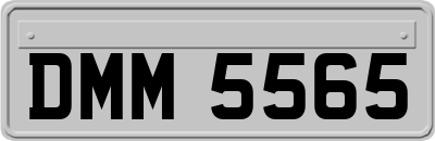 DMM5565