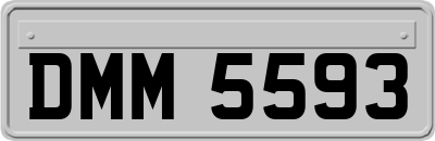 DMM5593