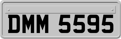 DMM5595