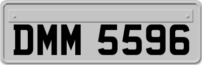 DMM5596
