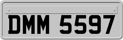 DMM5597