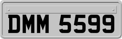 DMM5599