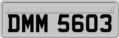 DMM5603