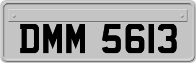 DMM5613