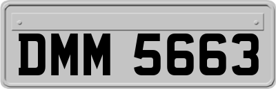 DMM5663