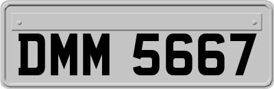 DMM5667