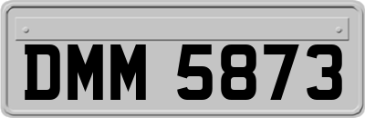 DMM5873