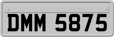DMM5875