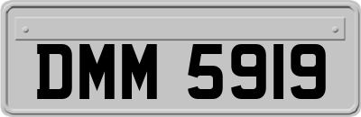 DMM5919