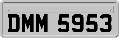 DMM5953
